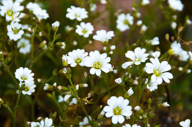 中(zhong)國(guo)20箇(ge)美豔絕倫的(de)景觀，你去過(guo)10箇(ge)就算旅遊達人(ren)啦